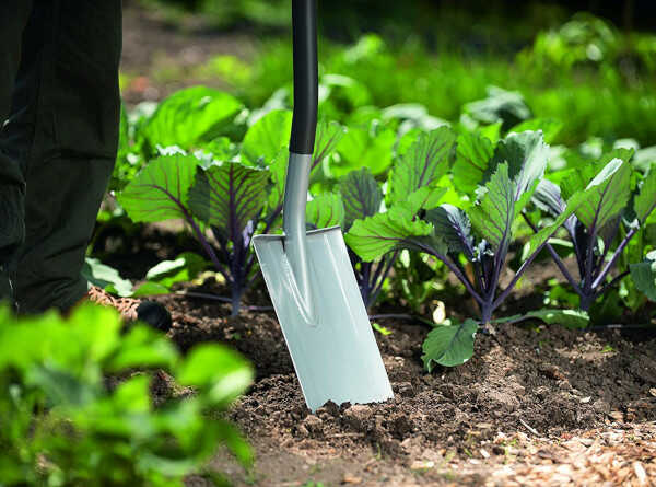 AS-E Digging Shovel of Wolf Garten
